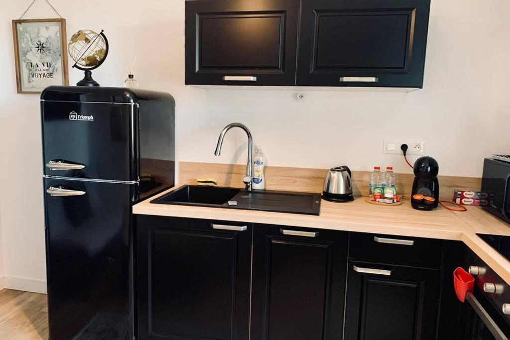 Le Travel, Studio Cosy Aux Pieds De La Gare 렌 외부 사진